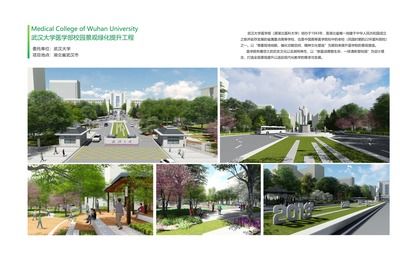 武漢大學醫學部校園景觀綠化提升工程